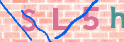 この文字を入力してください