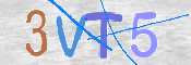 この文字を入力してください