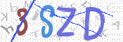 この文字を入力してください