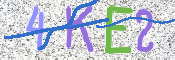この文字を入力してください
