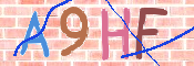 この文字を入力してください