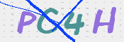 この文字を入力してください