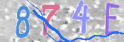 この文字を入力してください