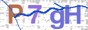 この文字を入力してください
