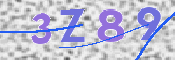 この文字を入力してください