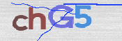 この文字を入力してください