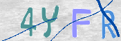 この文字を入力してください