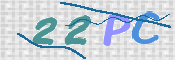 この文字を入力してください