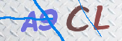 この文字を入力してください