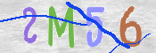 この文字を入力してください