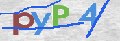 この文字を入力してください