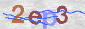 この文字を入力してください