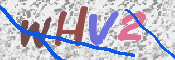 この文字を入力してください