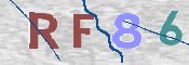 この文字を入力してください