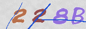 この文字を入力してください