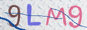 この文字を入力してください