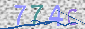 この文字を入力してください