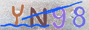 この文字を入力してください