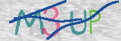 この文字を入力してください