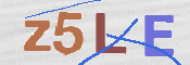 この文字を入力してください