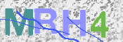この文字を入力してください