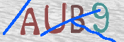 この文字を入力してください