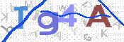 この文字を入力してください
