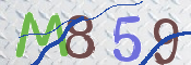 この文字を入力してください