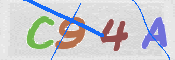 この文字を入力してください