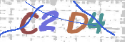 この文字を入力してください