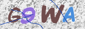 この文字を入力してください