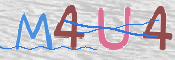 この文字を入力してください