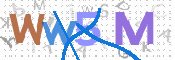 この文字を入力してください