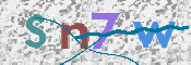 この文字を入力してください
