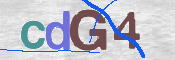 この文字を入力してください