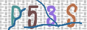 この文字を入力してください