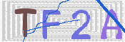 この文字を入力してください
