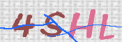 この文字を入力してください