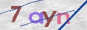 この文字を入力してください