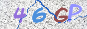 この文字を入力してください