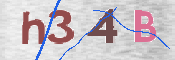 この文字を入力してください