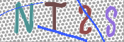 この文字を入力してください