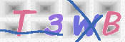 この文字を入力してください
