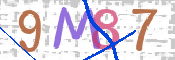 この文字を入力してください