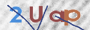 この文字を入力してください