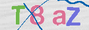 この文字を入力してください