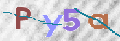 この文字を入力してください