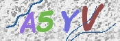 この文字を入力してください