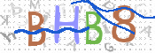 この文字を入力してください