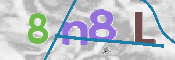この文字を入力してください